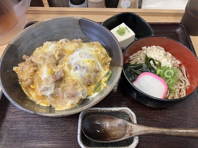 肉と卵をのせた丼と、大根・海苔・葱を添えた冷やしうどんのセット