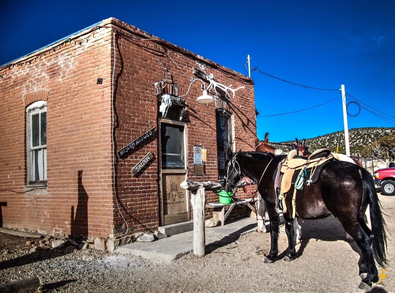 No Scum Allowed Saloon|Brick building exterior with signs and decorations posted on the walls
